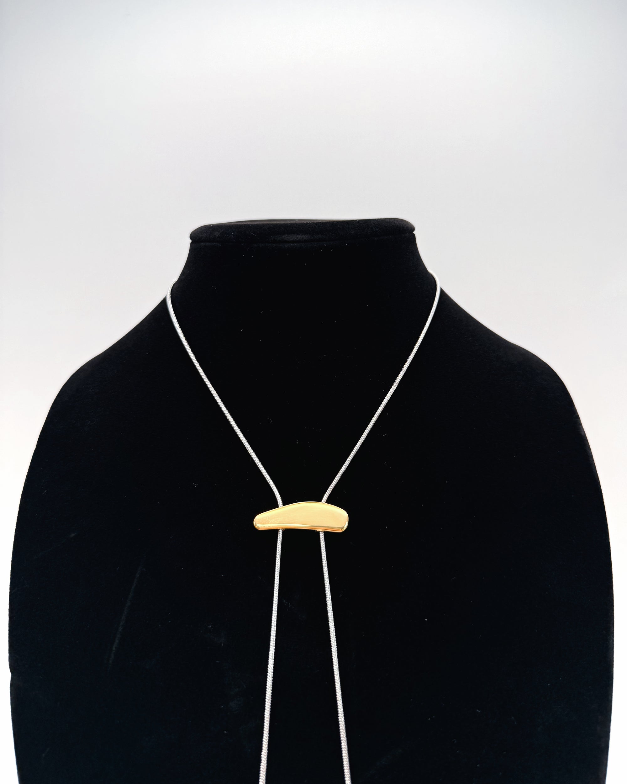 Mixed Metal Bolo Necklace