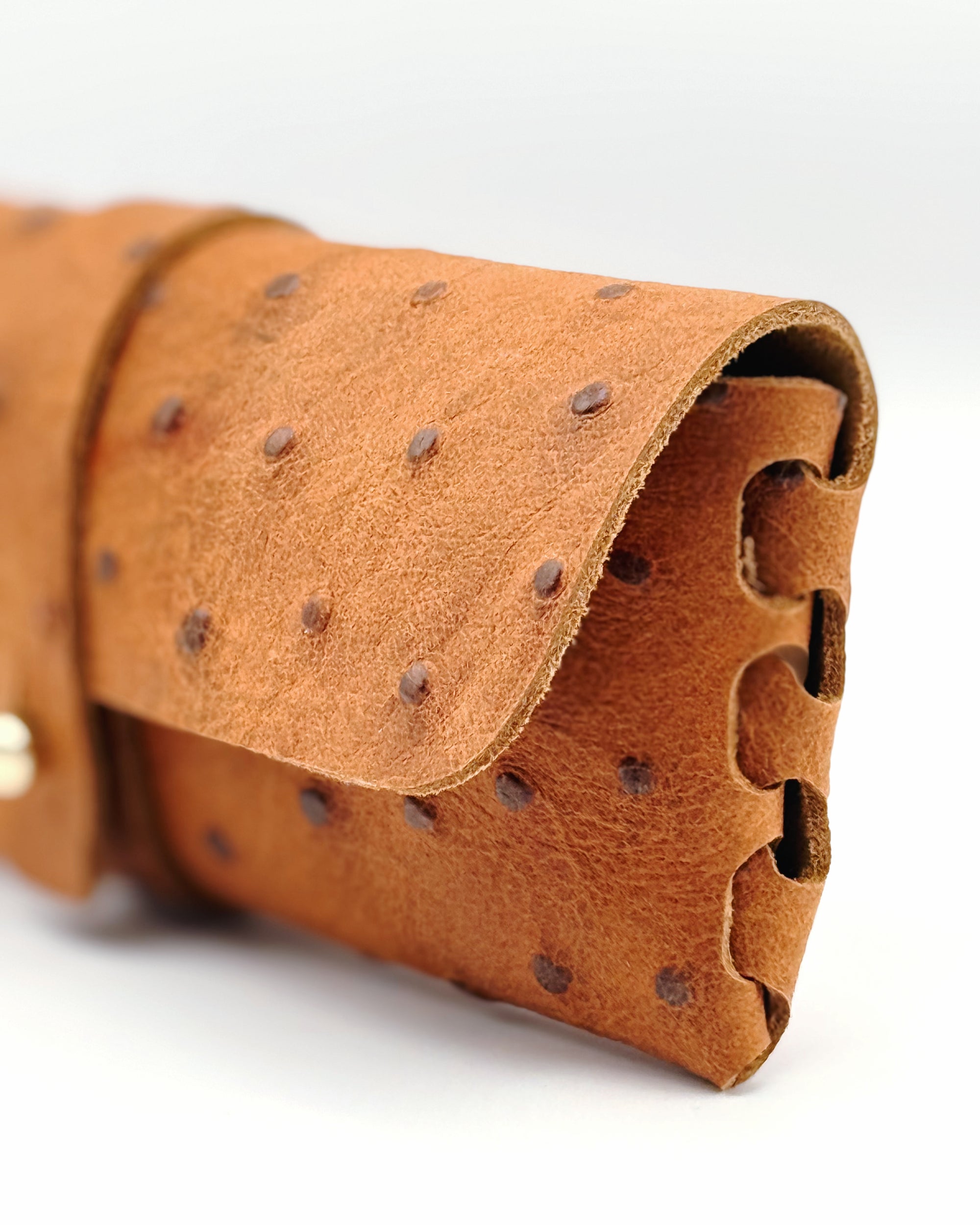 The Luxe Sunglass Case